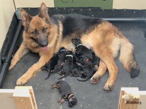 Read more about the article Annora is a mommy!