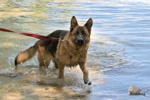 Read more about the article Canada Day with Annora