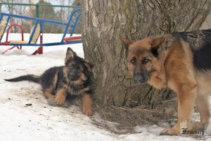 Read more about the article Spring is almost here!