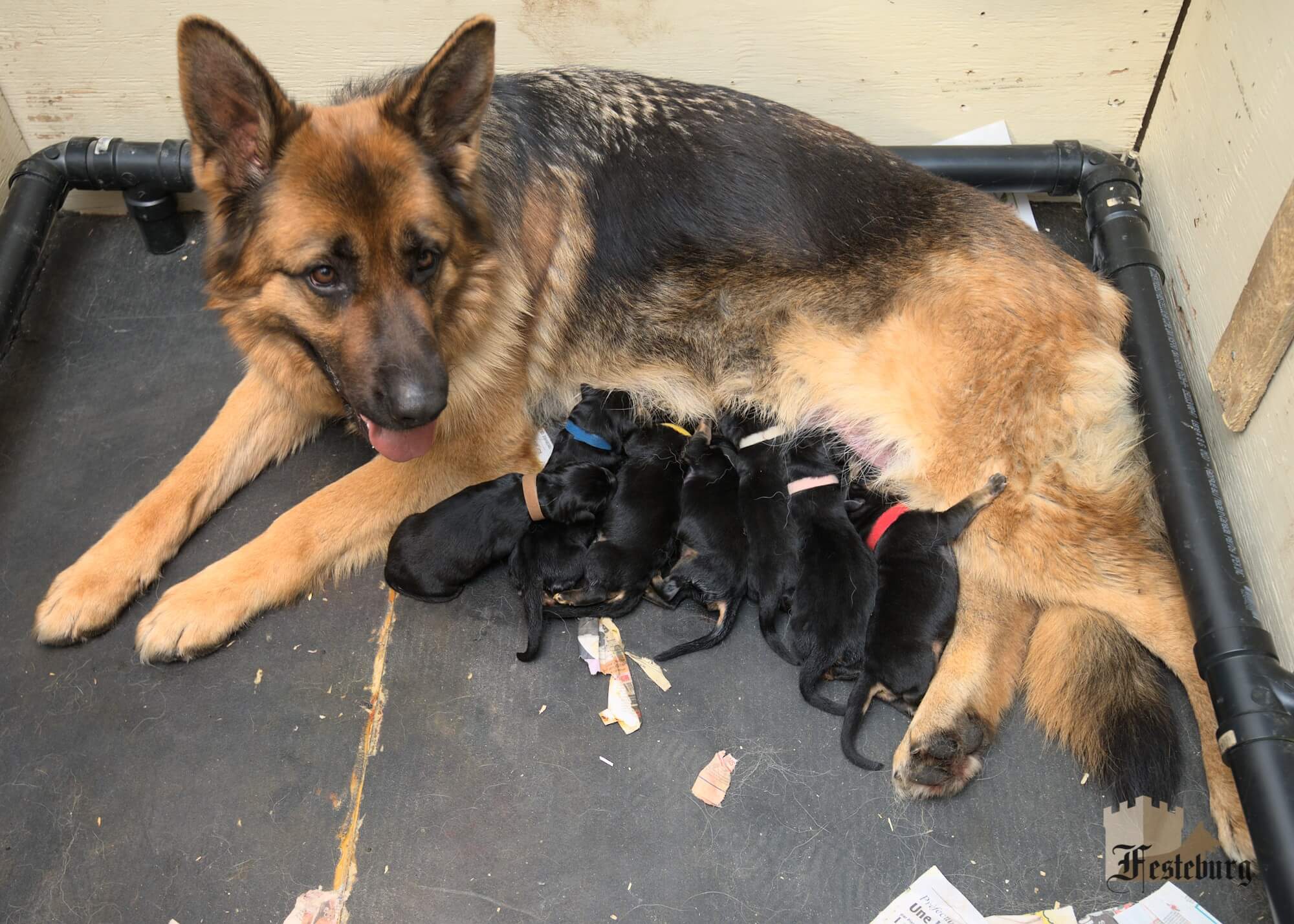 Read more about the article Surprise, surprise!