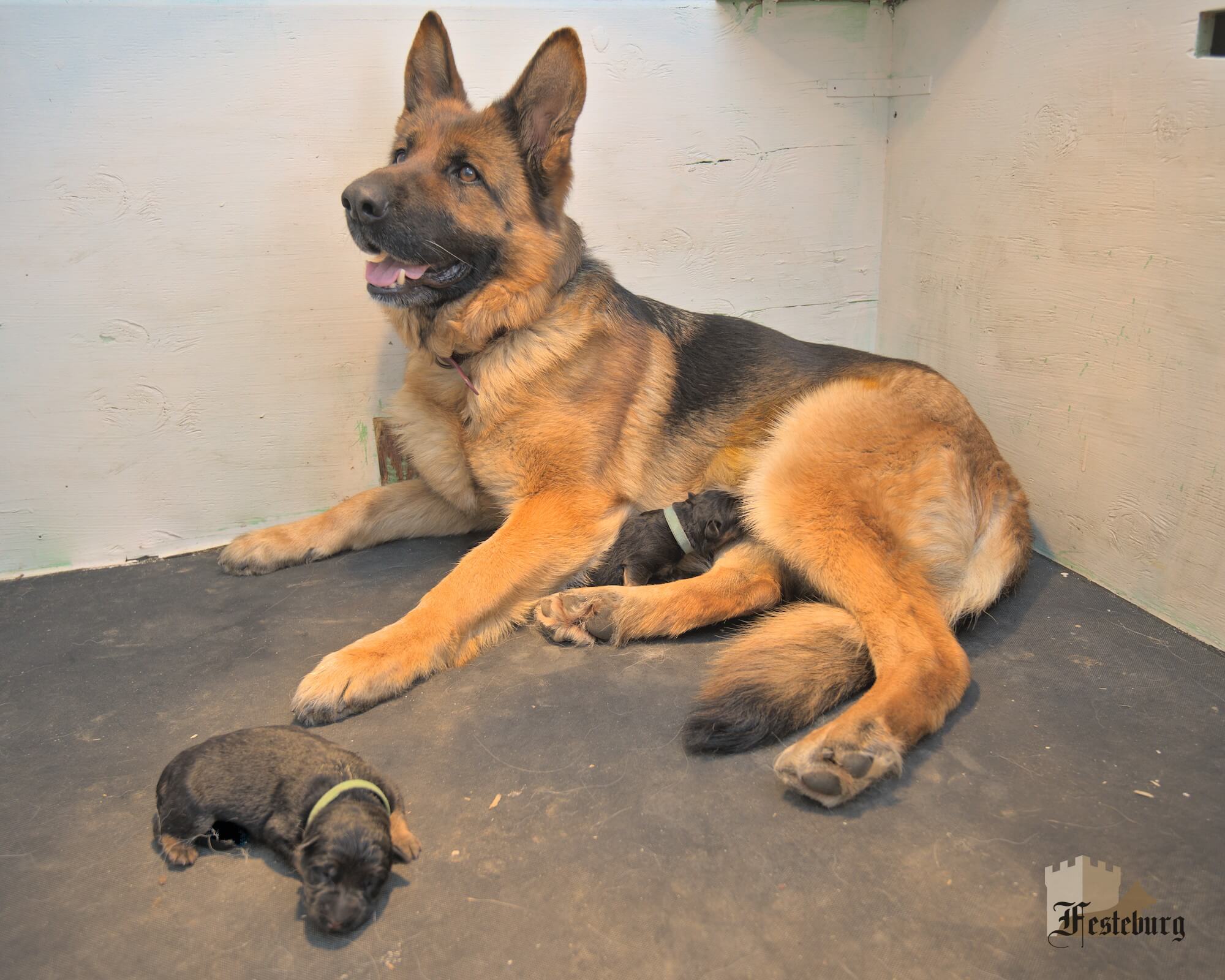 Read more about the article Annora couldn’t be happier!