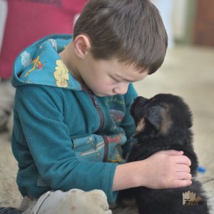 Read more about the article Adorable puppies!
