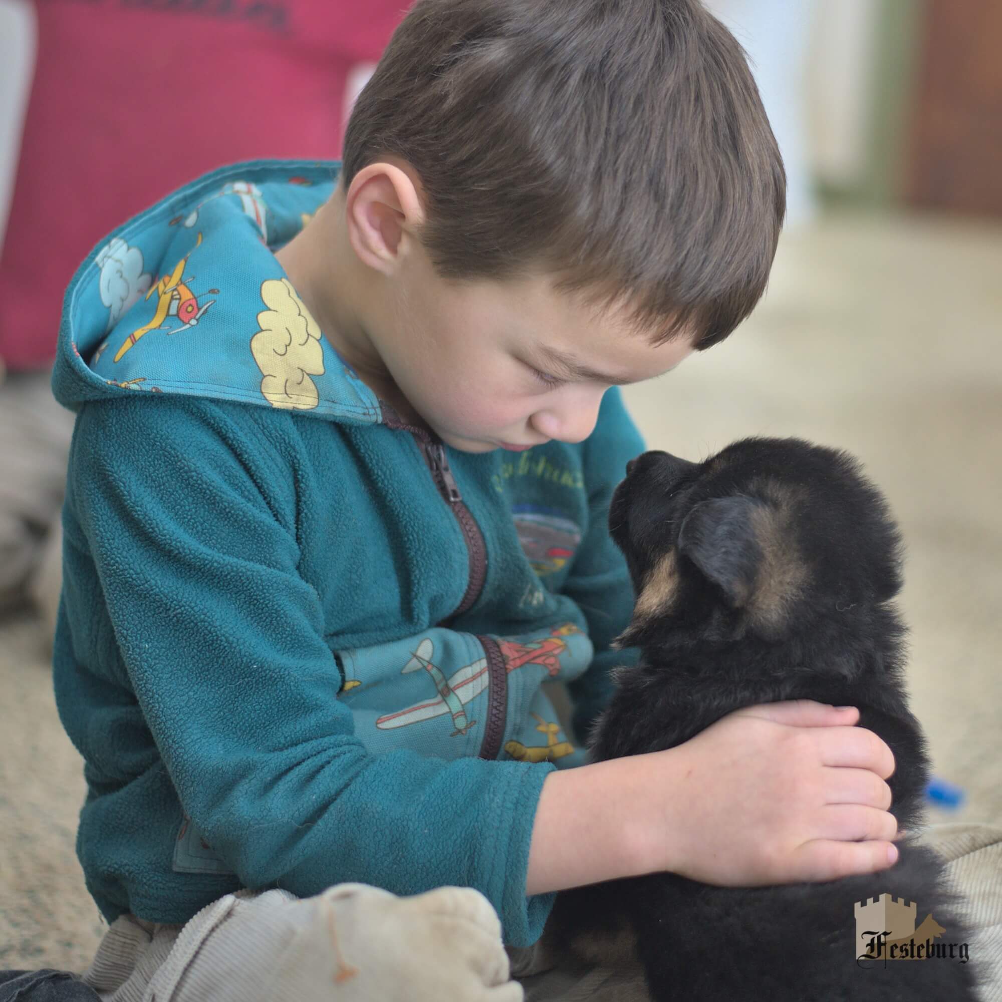 Read more about the article Adorable puppies!