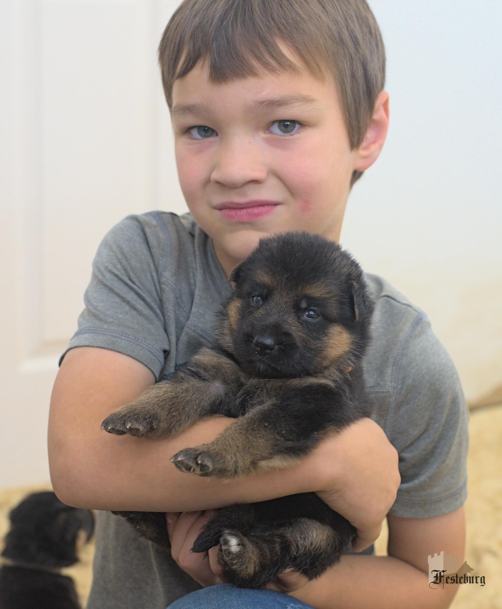Read more about the article Puppies, puppies everywhere!