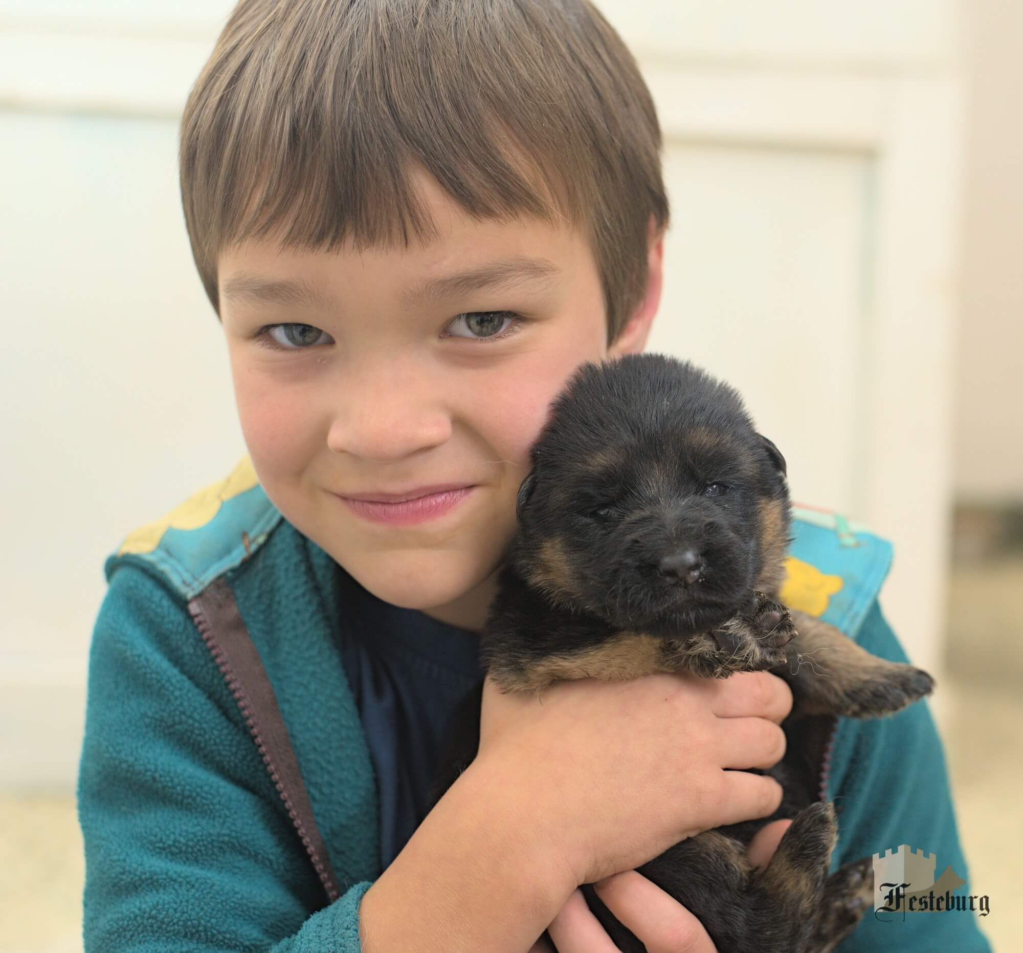 Read more about the article An update on Frieda’s puppies